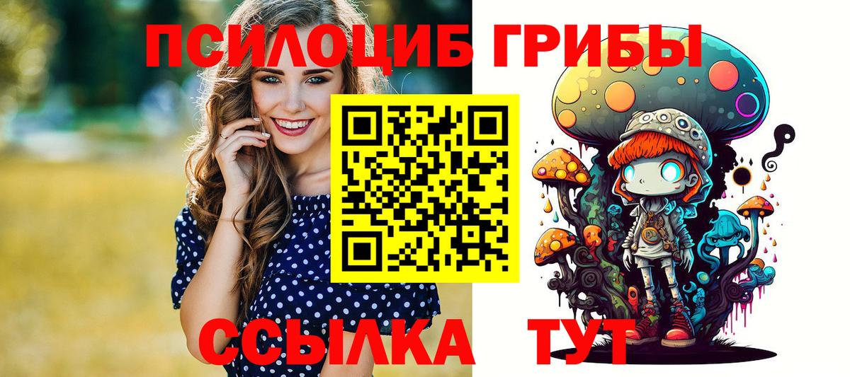 закладки  Вход с VPN  Нижнекамск  Галлюциногенные грибы мухоморы 